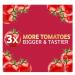Westland Tomato Food 1Litre- For Juicy Best Tasty Tomatoes - Buy Online on GoSupps.com