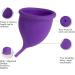 Shop Soft & Flexible Menstrual Cup | Reusable Medical Silicone Moon Cup Small Purple - Buy Online on GoSupps.com