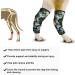 Knee Brace for Dogs Pair of Dog Rear Leg Braces Prevent Injuries and Sprains to Help with Arthritis Dog Kneepad (L) - Buy Online on GoSupps.com
