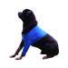 Gtobe's dogs recovery suit cone collar alternative abrasion -resistant dogs recreational shell pet wounds prevent licking bite moisture and infection washable and waterproof (blue XXL) XXL blue
