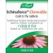 A.Vogel Echinaforce Chewable Cold & Flu Tablets - 40 Tablets | Relieve Symptoms with Fresh Echinacea Extracts - Buy Online on GoSupps.com