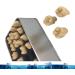 Adult Size Dental Teaching Reproductions - Resin Normal Teeth Model for Dental Care & Practice - Buy Online on GoSupps.com