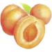 St Ives Gentle Apricot Facial Scrub 150ml - Exfoliating Face Scrub for Soft, Smooth Skin - Buy Online on GoSupps.com