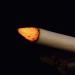 Exceart Chinese Moxa Sticks - 10 Handmade Moxibustion Rolls | Natural Artemisia Herbs for Warmth & Wellness | International Shipping Available - Buy Online on GoSupps.com