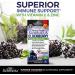Elderberry with Zinc and Vitamin C Capsules - Immune Support for Adults - Bioschwartz Elderberry Black Sambucus - 60 Ct - Buy Online on GoSupps.com