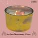 Celestial Rose Quartz Crystal Scented Candle - Astrology Gift for Women and Men - Buy Online on GoSupps.com