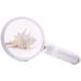 Hand-held Magnifying Glass with Lamp 20 Times 30 Times Old Man Reading Portable High-Definition High-Power Magnifier Good Times - Buy Online on GoSupps.com