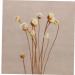 20 Rattan Diffuser Sticks for Essential Oils | Rose Replacement Refills for Home Bedroom Bathroom - Buy Online on GoSupps.com