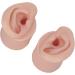 Ear Model Portable Jewelry Display 1 Pair Practice Ear Model for Piercing Salon for Novice (Medium Skin Color) - Buy Online on GoSupps.com