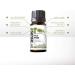 SenseLAB Tea Tree Essential Oil - 100% Pure Therapeutic Grade for Diffuser, Hair & Skin Care - Outdoor Protection - 10ml - Buy Online on GoSupps.com