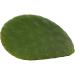 Buy 2kg Opuntias (Opuntia) | Cactus Leaves | Premium Fodder Plant & Turtle Food | International Shipping Available - Buy Online on GoSupps.com