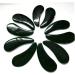 DOITOOL Muscle Scraper Spiral Hair Curlers Noir Cosmetic Blackl Back Handheld Scraping Plate Black Spa Headbands for Christmas Tags Horns Black Water Natural - Buy Online on GoSupps.com