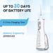 Apollo Water Flosser for Teeth Whitening & Dental Care | 5 Modes 300ML Capacity Waterproof | Perfect for Gums & Braces - Buy Online on GoSupps.com