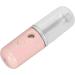 Face Nano Mist Sprayer 50ml Capacity USB Charging ABS Shell Handy Mist Sprayer for Home (Light Pink) - Buy Online on GoSupps.com