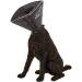 Buy All-Four-Paws Comfy Cone Medium (Extra Long) - Black | Best International Shipping - Buy Online on GoSupps.com