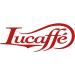 LUCAFF Blucaff coffee beans 250 g x 12 steel jar preserves aroma Gourmet Arabica coffee beans fruity taste medium roast medium body intense aroma low caffeine content - Buy Online on GoSupps.com