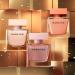 NARCISO RODRIGUEZ Narciso Poudree 3-Piece Gift Set for Women (1.6 Ounce Eau De Parfum Spray + 1.6 Ounce Scented Body Lotion + 1.6 Ounce Scented Shower Gel) 4.8 Fl Oz (Pack of 1) - Buy Online on GoSupps.com