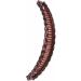 Hair Clincher Combs - Vintage Clincher Combs Clamp Grip Fishtail Hair Clip Ponytail Banana Clip for Women Girls Hair Accessories Coffee - Buy Online on GoSupps.com