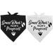 Pregnancy Announcement Dog Bandana Set for Dog Lovers - Gender Reveal Photo Prop and Pet Scarf Decorations - Pack of 2 - Buy Online on GoSupps.com