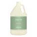 Terra Pure Green Tea Hotel Conditioner | 1 Gallon | For Hospitality & Vacation Rentals to Refill Dispensers | (Single Gallon)