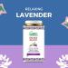 SNAKE BRAND Prickly Heat Cooling Body Powder 140g (Relaxing Lavender Pack of 2) Relaxing Lavender 140 g (Pack of 1) - Buy Online on GoSupps.com