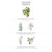 Panier des Sens Verbena Hand Cream - Moisturizing Lotion for Dry Cracked Hands - Shea Butter & Olive Oil - 97% Natural Ingredients - 2.6floz/75ml - Made in France - Buy Online on GoSupps.com