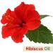 Hibiscus Sabdariffa L Essential Oil 50ML - 100% Pure Uncut Cold Pressed Premium Aromatherapy Oil - Buy Online on GoSupps.com