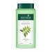 Biotique Bio Neem Margosa Anti Dandruff Shampoo and Conditioner 340ml