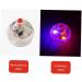 U-K Flash Ball Toy 2 Pieces Ghost Flashing Balls Light Up Cat Dog Balls Toy Paranormal Equipment Pet Balls Toy Useful and Nice - Buy Online on GoSupps.com