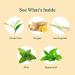 Ginger Mint Green Tea - Vahdam 200g | Aromatic & Delicious | Pure Green Tea Leaves | Iced Tea or Hot Brew - Buy Online on GoSupps.com