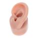 Angoily 1pc Human Ear Model Acupuncture Ear Model Earring Body Massage Tools Silicone Display Ear Acupuncture Human Ear Acupuncture Kit Simulator Student 6.5x3.5cm Coffee