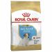 Royal Canin Puppy Food Junior Biscuits for Jack Russell Terrier Puppies Aged 2-10 Months 1.5 kg Bag