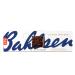 Bahlsen Choco Wafers Dark Chocolate Cookies - 10 Boxes 3.4 oz - European Chocolate Covered Wafers - Buy Online on GoSupps.com