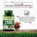 ZMA Nighttime Recovery Supplement - 120 Veg Tablets | Zinc + Magnesium Aspartate Formula - Buy Online on GoSupps.com