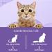 Cat Vitamins & Supplements Essential Multivitamins L-LYSINE Vitamins A B1 B2 B6 B12 C D3 E FOLIC ACID KRILL OIL - Buy Online on GoSupps.com