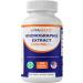 Vitamatic Andrographis Extract 1000 mg Per Serving - 120 Veg Capsules - 20X Extract, 100% Vegetarian, All-Natural, Gluten Free, Non-GMO