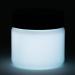 Glow In The Dark Acrylic Paint - Neutral Paints with 5+ Color Options for Art Paintings  Decorations  Outdoor & Indoor Art Craft for Adults  Students and Kids - 4 Ounce (Neutral White) Neutral White 4 Fl Oz (Pack of 1)