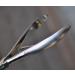 Cuticle Scissors Nail Clipper Cuticle Nipper Pliers Cutting Surface 8 mm 2020 - Buy Online on GoSupps.com