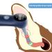 Dog Ear Temperature Monitor Pet Infrared Thermometer Only for Pets Measure in 1 Second Mute Function C/F Switchable (Blue) - Buy Online on GoSupps.com