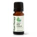 Plant Therapy USDA Certified Organic Basil Linalool Essential Oil 10 mL (1/3 oz) 100% Pure Undiluted Aromatherapy for Muscle Soreness and Digestive Discomfort