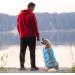 Emust Dog Chimney Reflecting & Adjustable Protective Vest - Improved Buoyancy & Rescue Handle for Swimming - 2XL New Blue - Buy Online on GoSupps.com
