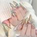 Rose Gold Chrome Nail Powder - Long Lasting Glitter for Mirror Effect Nails - Metallic Pigment Powder for Pink Champagne Chrome Nails - Easy to Use - 2 Jars Included - Buy Online on GoSupps.com