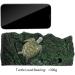 BigTron Floating Turtle Platform - 20cm Rectangular Terrapin Dock for Brazilian Tortoise - Buy Online on GoSupps.com