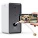 Owlet Home Pet Camera with Treat Dispenser Tossing | 1080P Camera, WiFi, Night Vision | Alexa Compatible for Dogs/Cats - Buy Online on GoSupps.com