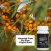 Sea Buckthorn Farm Oil Blend Omega 7 Supplement - Vegan Omega 3 Capsules - Omega 3 6 9 Softgels - 60 Capsules - Buy Online on GoSupps.com