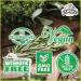 Organic Astragalus Tincture 700mg - Herbal Supplement in Organic Vegetable Glycerin 2oz - Buy Online on GoSupps.com