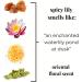Spicy Lily Perfume- Luxury Fragrance Oil RollOn Clean Ingredients (0.24oz - 7ml) Dark Amber Ginger Lily Spices Best Rich Unique Echanting Scent with Projection & Long Lasting - Buy Online on GoSupps.com