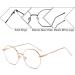 Voolga Classic Retro Blue Light Filter Glasses | Stylish Polygon Fashion Frames for Men & Women | Anti-Glare Computer Glasses with Rose Gold Metal Legs - Buy Online on GoSupps.com