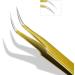 2 Piece Stainless Steel Eyelash Extension Tweezers Set - Straight & Curved Tip Nippers for False Lash Application - Buy Online on GoSupps.com