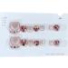 SUYARE Artificial Toenail Glitter Artificial Toenail Glossy Fake Toe Nails Sparkling Cat's Eye Toenail Manicure Art for Women Girls for Summer - Buy Online on GoSupps.com